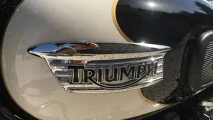 Triumph Bonneville T100 (2008 - 16)  (7)