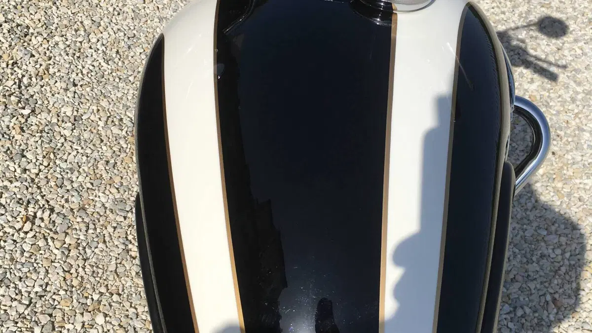 Triumph Bonneville T100 (2008 - 16)  (6)