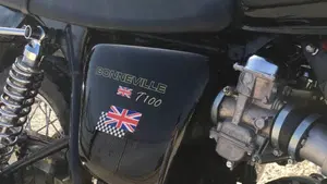 Triumph Bonneville T100 (2008 - 16) 