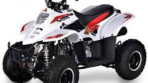 Altre moto o tipologie Minimoto