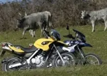 BMW F 650 GS e R 1200 GS
