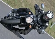 SUZUKI Gladius 650