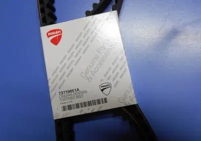 Cinghie Distribuzione Monster – 73710051A Ducati - Annuncio 7126613