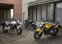 Guida alla Honda Hornet 600