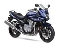 Suzuki, affari d'inverno