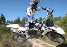 BMW G 450 X