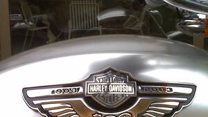 Harley-Davidson 1130 V-Rod (2002 - 05) - VRSCA 