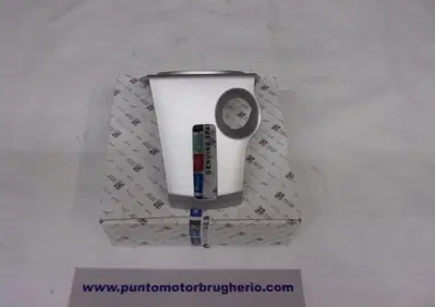 COPERCHIO CENTRALE PARAGAMBA PIAGGIO BEVERLY - Annuncio 7469708