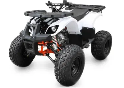  Altre moto o tipologie Quad - Annuncio 7490699