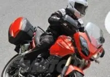 Triumph Tiger SE  