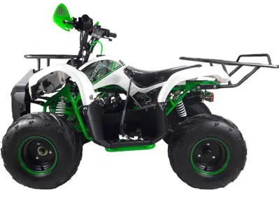  Altre moto o tipologie Quad - Annuncio 7499647