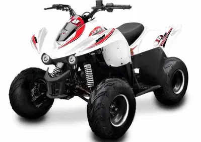  Altre moto o tipologie Quad - Annuncio 7500539