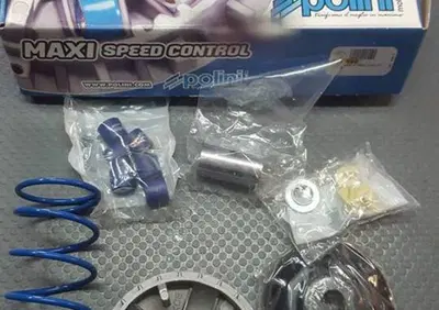VARIATORE POLINI KYMCO AGILITY LIKE PEOPLE MALAGUT Polini Motori - Annuncio 7517628
