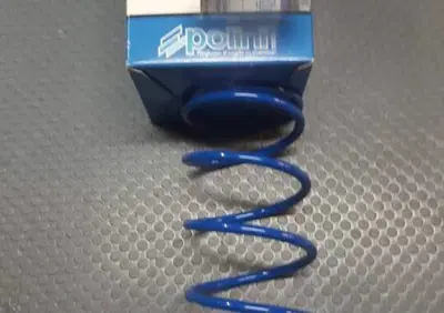 MOLLA DI CONTRASTO POLINI ITALJET MALAGUTI APRILIA Polini Motori - Annuncio 7523140