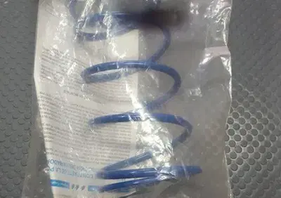 MOLLA DI CONTRASTO POLINI SUZUKI BURGMAN 400 Polini Motori - Annuncio 7523144