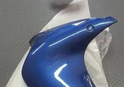 PROTEZIONE DX STELO FORCELLA PEGASO 650 Aprilia - Annuncio 7592039