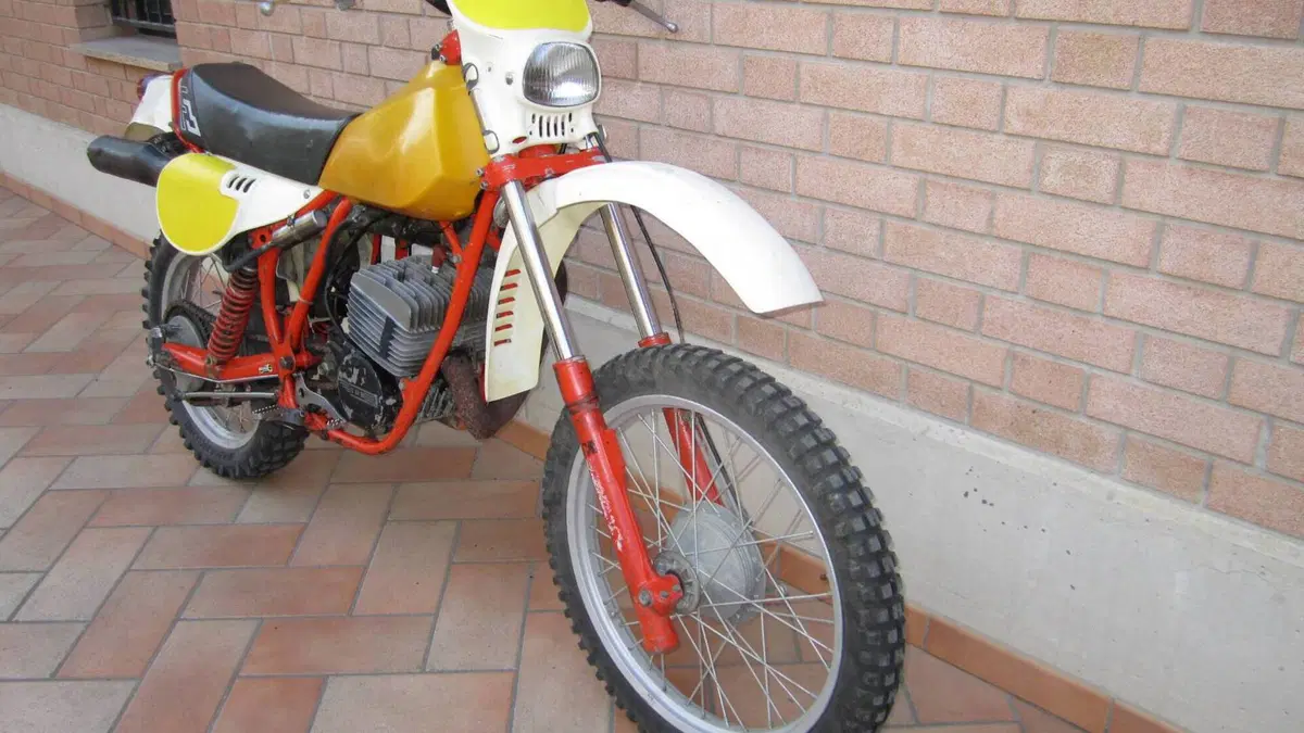 Puch Frigerio   (3)