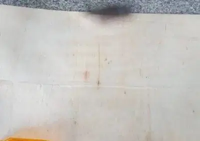 PLASTICHE (CP) FRECCE POST. PGO STAR 50 Sgr - Annuncio 7634942