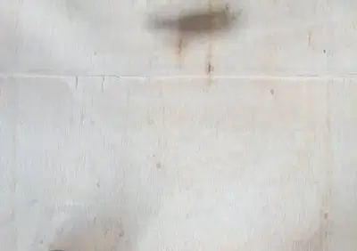 FRECCE (CP) ANT. METROPOLIS 50 Peugeot - Annuncio 7637669