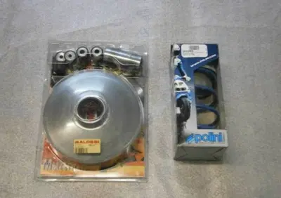 KIT VARIATORE MALOSSI VARIATORE MALOSSI SRV 850+MOLLA CONTRASTO POLINI - Annuncio 6337537