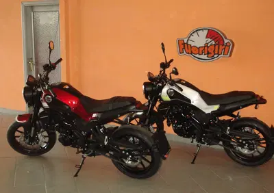 Benelli Leoncino 250 (2021 - 25) - Annuncio 7639898
