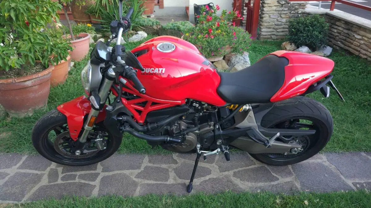Ducati Monster 821 ABS (2014 - 17)  (2)