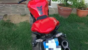 Ducati Monster 821 ABS (2014 - 17)  (4)