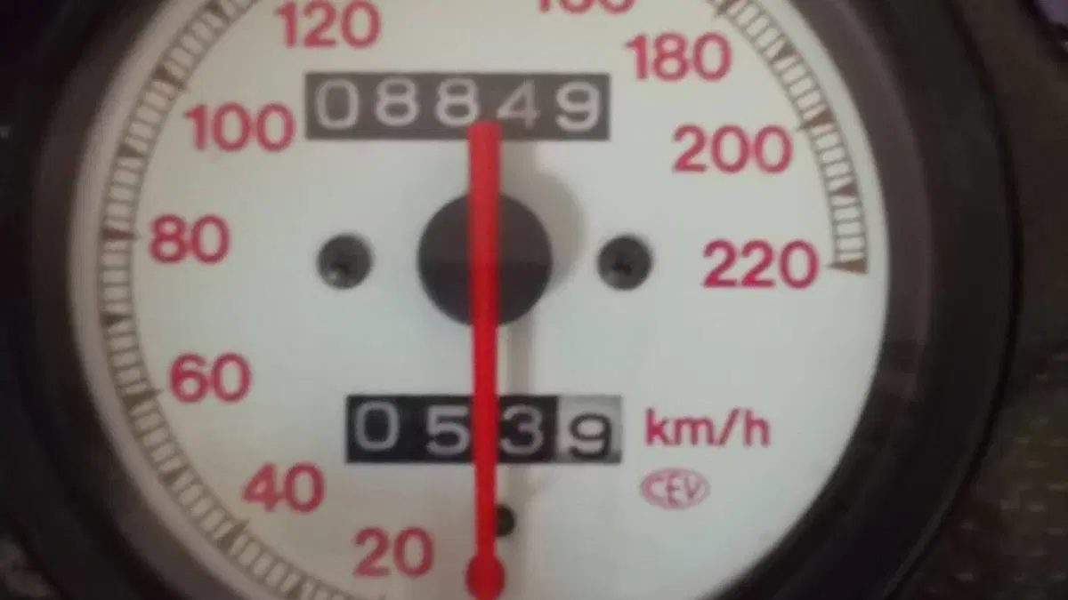 Ducati   (15)