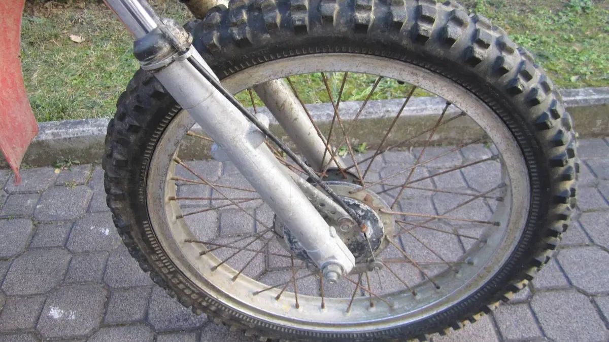 Fantic Motor   (8)