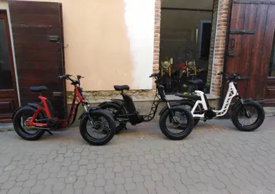 Fantic Motor Issimo (2019 - 23) - Annuncio 7956914
