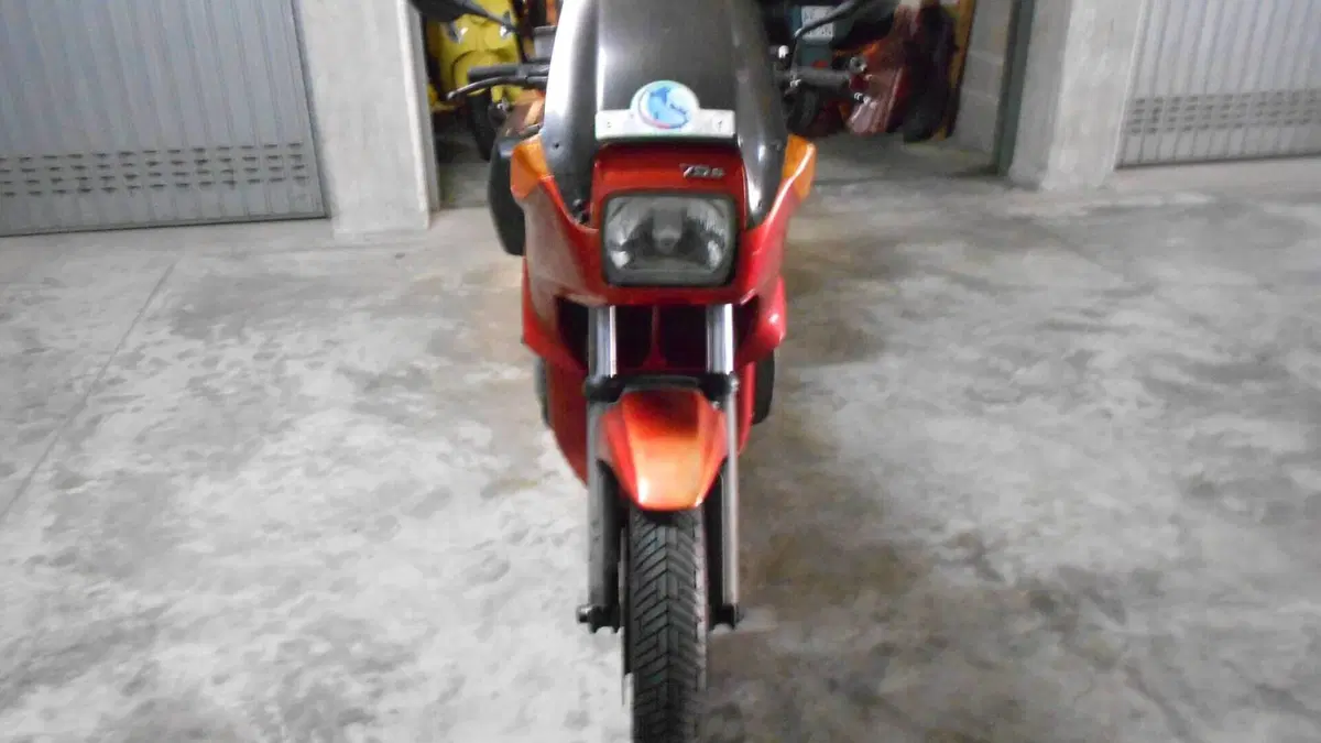 Bmw   (5)