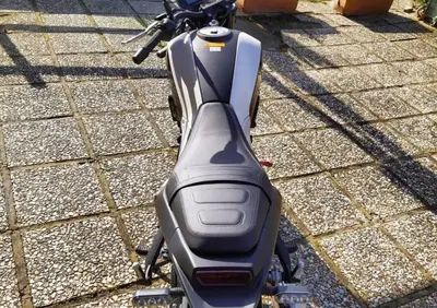 Benelli Leoncino 250 (2019 - 20) - Annuncio 7984836