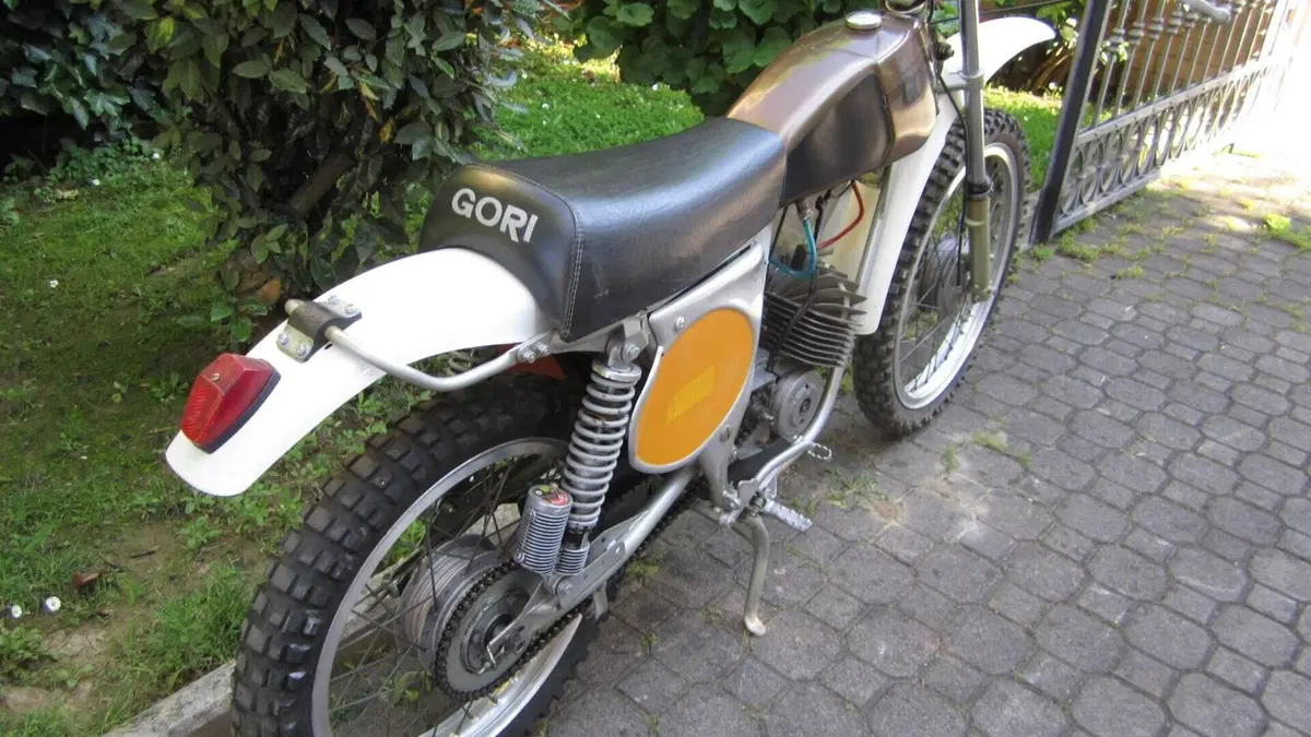 Gori   (2)