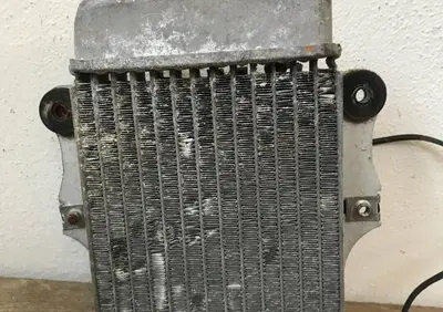 Radiatore grigio Honda Dylan con ventola SL - Annuncio 8031301