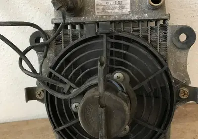 Radiatore grigio Honda Dylan con ventola e bulbo - Annuncio 8031302