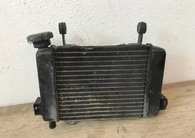 Radiatore Honda CBR 125 1 tipo S.L - Annuncio 8031304