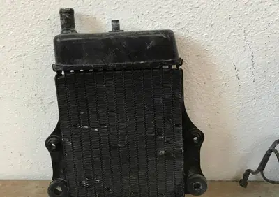 Radiatore nero Honda Dylan S.L - Annuncio 8031312