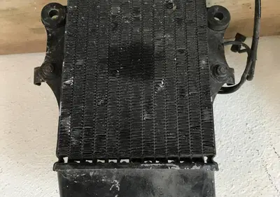 Radiatore nero Honda Dylan con ventola S.L - Annuncio 8031313