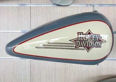 HARLEY-DAVIDSON KIT CARROZZERIA FLSTF - Annuncio 8032646