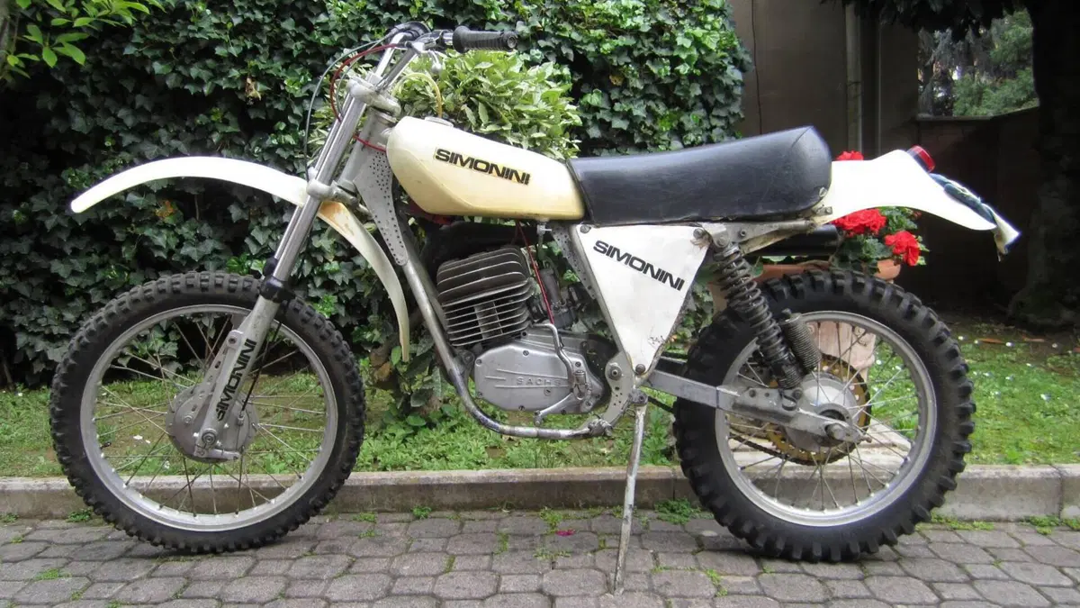 Simonini  