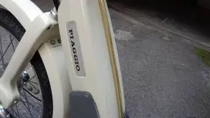 Piaggio   (15)