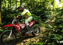 Beta Enduro 2021 TEST:125 e 300 2 tempi, 430 4 tempi. Orgoglio italiano