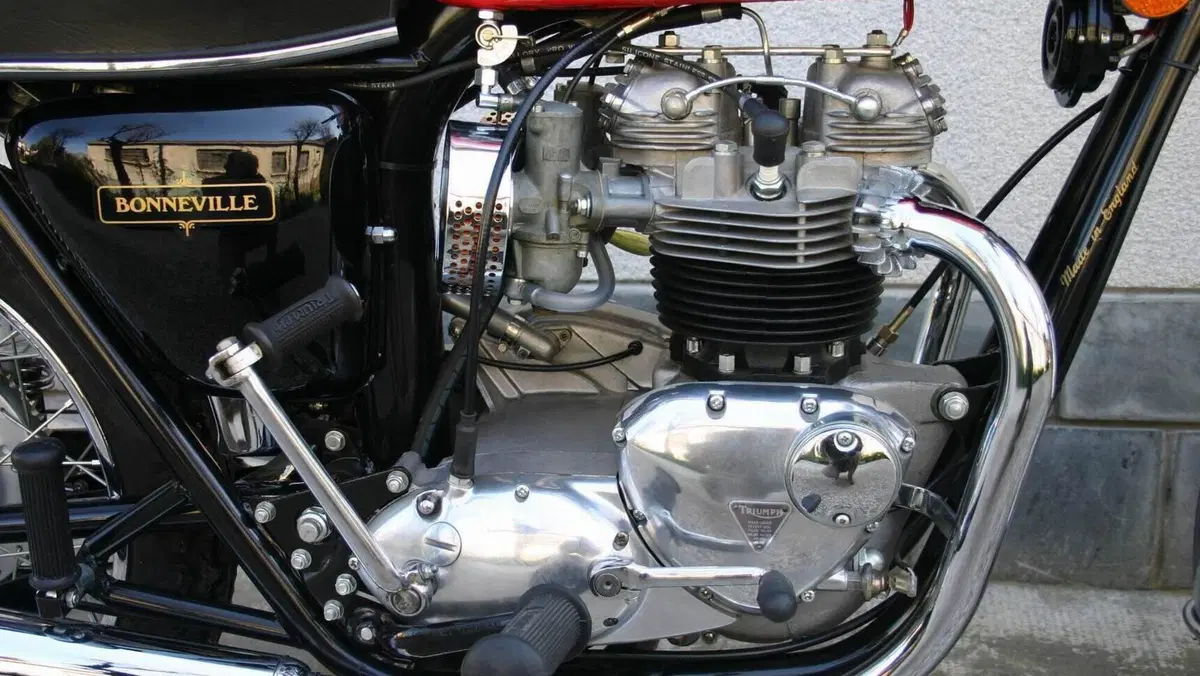 Triumph   (3)