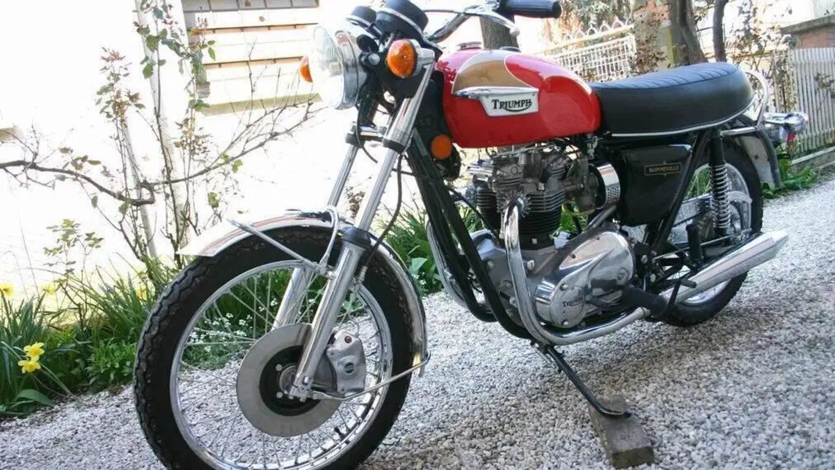 Triumph   (4)