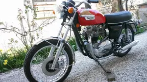 Triumph   (4)