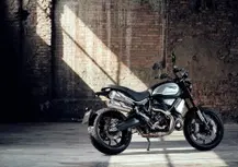 Ducati Scrambler 1100 Dark Pro, nuova livrea per l'ammiraglia