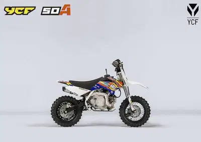  Altre moto o tipologie Minimoto - Annuncio 8173268