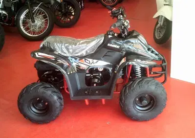  Altre moto o tipologie Quad - Annuncio 8174205