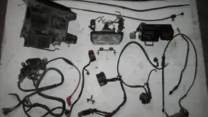 Honda   (11)