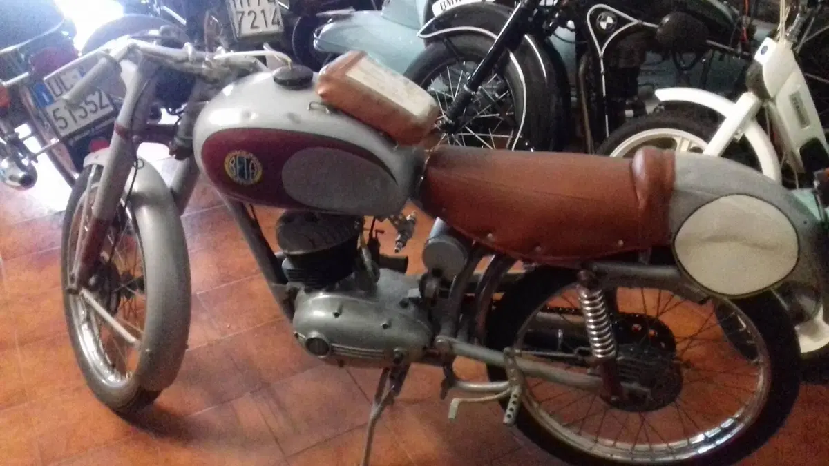 Betamotor   (2)